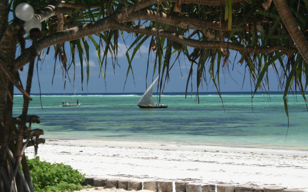 Zanzibar beachvillas - Villa Loïki